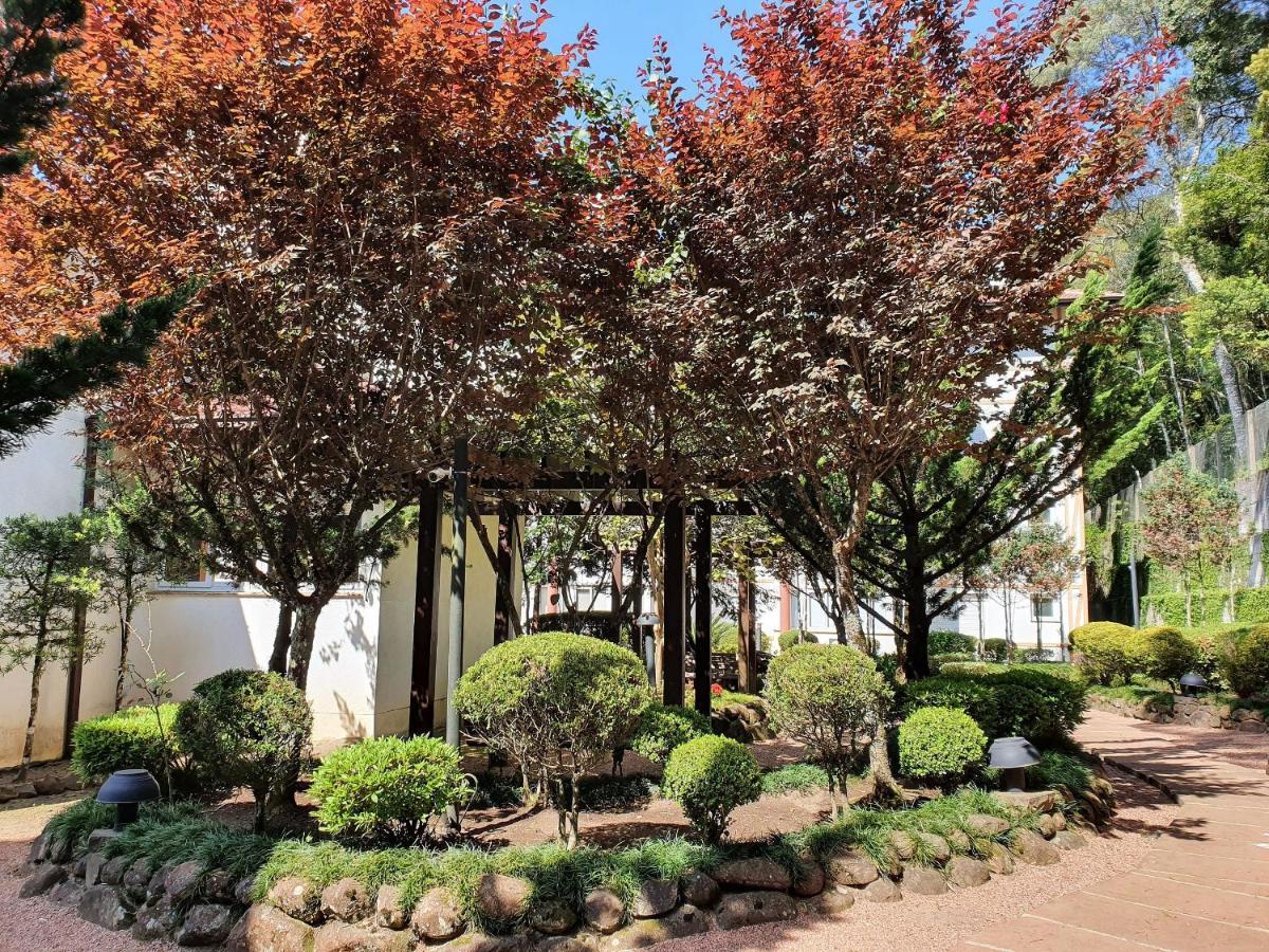 Apto No Centro De Gramado Com Piscina Termica Buitenkant foto